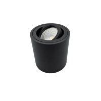 LEDlumi LLAP01SW Aufbaugehäuse schwenkbar MR16 Spot GU10 Sockel rund schwarz
